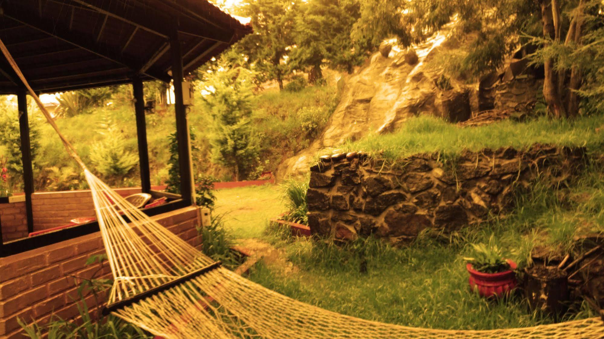Nest Ooty 3*