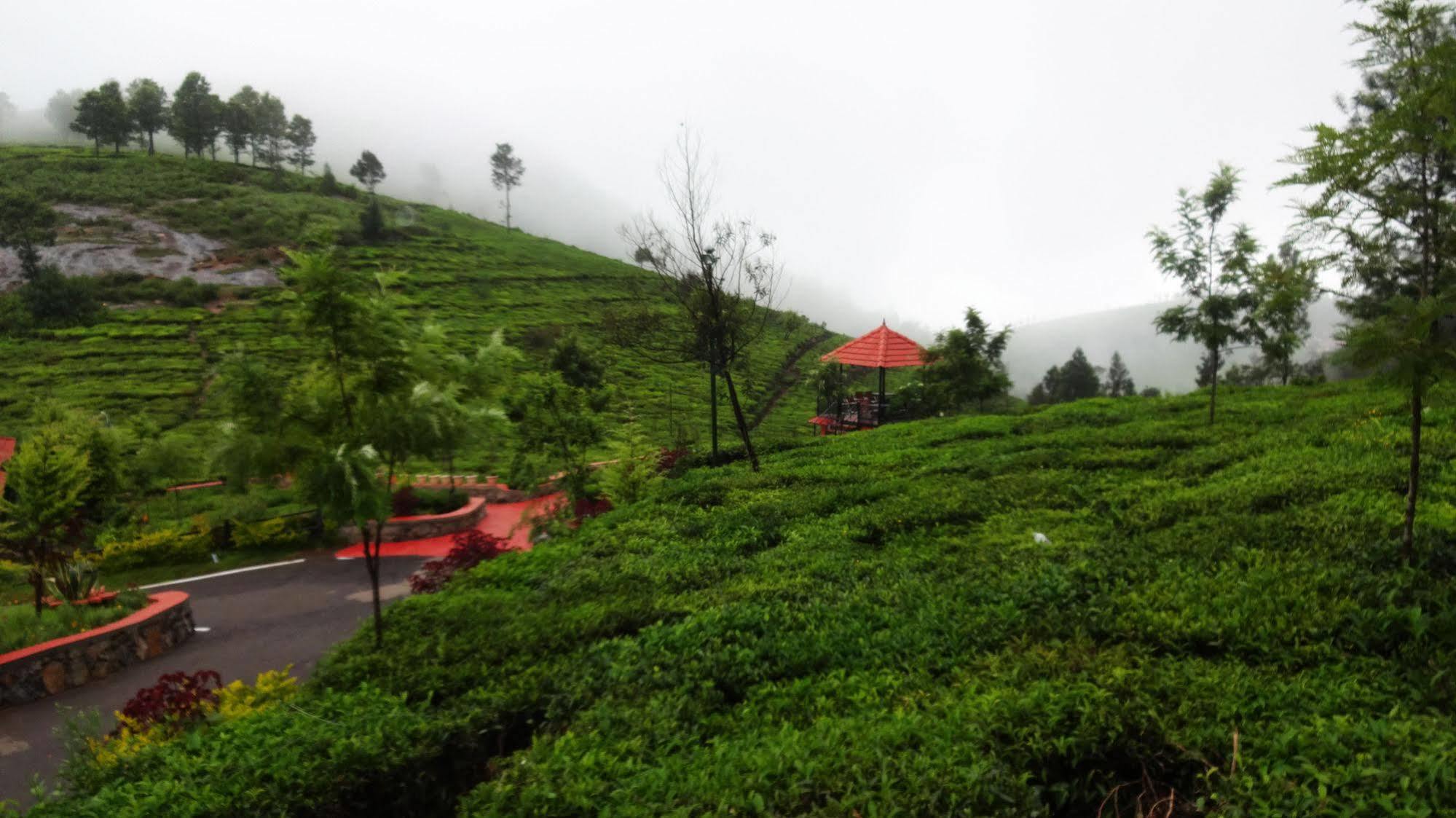 Nest Ooty सहारा